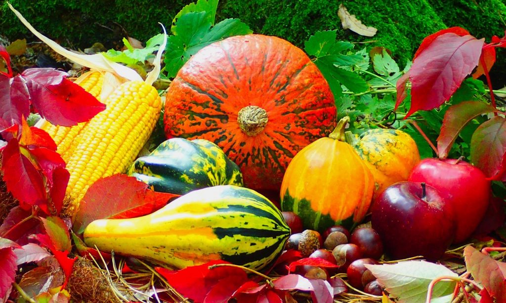 autumn, fruits, assorted